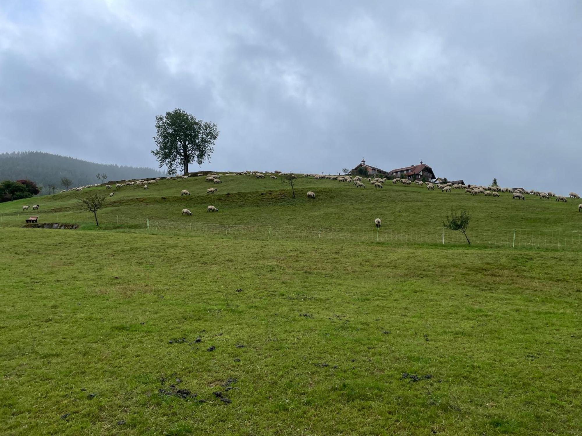 Am Baumgarten Байрсброн Экстерьер фото